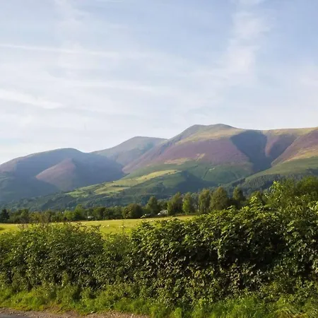 Tatil Evi Scots Pine